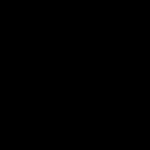 Meet your Posher, Paulina